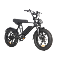 Vélo électrique tout-terrain à pneus larges 20*4.0 pour la plage, la neige, le sable et le gravier