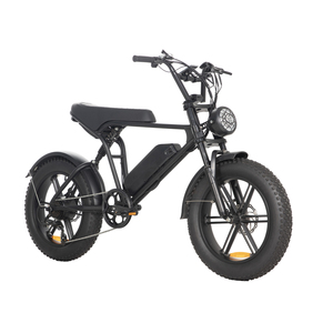 Bici Elettrica Fat Tire All-Terrain Personalizzabile per Spiaggia, Neve, Sabbia e Ghiaia - Vendita Diretta dalla Fabbrica - Pneumatici 20*4 per Fuoristrada e Percorsi Difficili - Product Image 4