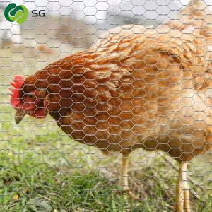 Kesme işleme hizmeti ile özelleştirilebilir <span class=keywords><strong>PVC</strong></span> altıgen kanatlı ev zinciri bağlantı örgü kafes - Product Image 2