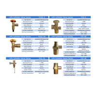 Structure de sécurité et de décharge de pression pour valve de bouteille de GPL en laiton D20, spécification standard