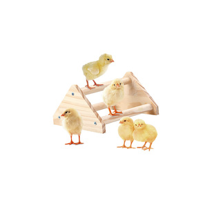 <span class=keywords><strong>Gallinero</strong></span> <span class=keywords><strong>de</strong></span> <span class=keywords><strong>Madera</strong></span> Natural Sólida <span class=keywords><strong>de</strong></span> Múltiples Niveles - Product Image 2