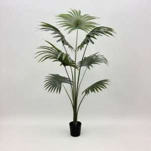 Palmier Tropical Artificiel de Simulation 1.6/1.8m Maison Fruit Vert Palmiers Ventilateur Artificiel Palmier Arbre en Pot - Product Image 1