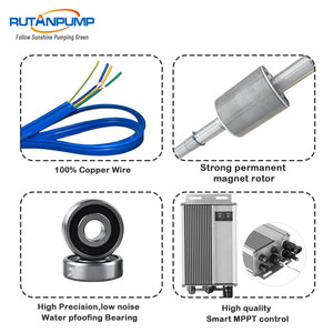 Système <span class=keywords><strong>d</strong></span>'irrigation solaire, <span class=keywords><strong>pompe</strong></span> à eau solaire, 72V, <span class=keywords><strong>600W</strong></span>, vente en gros, pour l'irrigation - Product Image 4