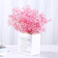 Fleurs de Gypsophile Séchées Naturelles de Haute Qualité, Fleurs Éternelles Préservées pour la Décoration de Mariage
