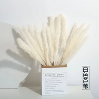 Petit bouquet d'herbe de la pampa naturelle, fleurs séchées pour la décoration minimaliste de la maison, décoration moderne et arrangements de mariage