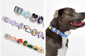 Ensemble de harnais pour chien d'extérieur en PVC souple, laisse réglable et collier avec breloques, équipement pour animaux de compagnie pour la randonnée, le camping, la course et la promenade, fourniture directe usine - Product Image 5