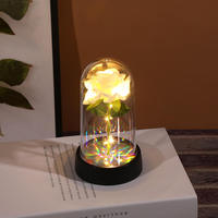 Cadeau pour la Saint-Valentin, rose éternelle colorée à LED, rose artificielle éternelle dans un dôme en plastique, cadeau