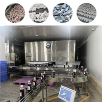 Industriële snelvriezer IQF tunnelvriezer/vriestunnel IQF machine/vriesmachine voor groenten, fruit en garnalen