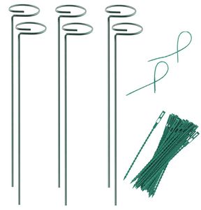 Piquets <span class=keywords><strong>de</strong></span> plantes à tige unique Cages <span class=keywords><strong>de</strong></span> pivoines et anneau <span class=keywords><strong>de</strong></span> Support <span class=keywords><strong>de</strong></span> plante pour Support <span class=keywords><strong>de</strong></span> plante pour orchidée <span class=keywords><strong>Amaryllis</strong></span> lys Rose tomates - Product Image 4
