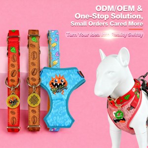 पालतू सहायक उपकरण नए फैशन लक्जरी कस्टम उच्च गुणवत्ता वाले वाटरप्रूफ pvc neoprene कुत्ते का उपयोग करने वाली वर्षाकोट सेट पोर्टेबल बैग सभी मौसमों - Product Image 6