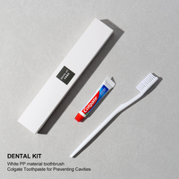 Ensemble d'articles de toilette de luxe pour hôtel, conforme RoHS, kit de voyage jetable, kit de brosse à dents portable, kit de voyage personnalisé