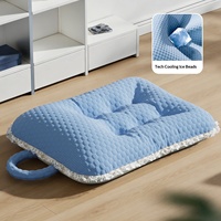 Coussin rafraîchissant respirant Ice Bean pour chat, universel quatre saisons, canapé-lit pour chat, tapis de couchage pour usage intérieur