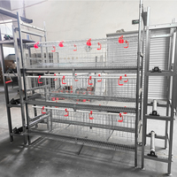 Cage à poulets pliable à porte coulissante automatique avec désinfection intégrée, modèle H, vente chaude, fournie par le fabricant