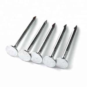 Pregos de Telhado de Feltro com Cabeça Extra Grande e Cabo Liso em Ferro Galvanizado - Product Image 4