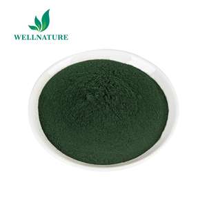 Toplu organik mavi Spirulina chloprotein <span class=keywords><strong>Protein</strong></span> tozu özü Spirulina özü Spirulina tozu 50% <span class=keywords><strong>Protein</strong></span> - Product Image 2