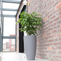 Jardinières décoratives hautes en résine P294 pour plantes d'intérieur, pots à fleurs de grande taille de haute qualité, jardinières et pots légers pour hôtel