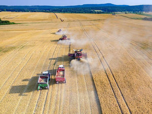 Cosechadora de <span class=keywords><strong>Trigo</strong></span> Compacta a Precio de Fábrica, Maquinaria Agrícola China GV100 GV100Pro 175HP en Oferta - Product Image 6