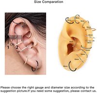 Bijou de Piercing Gaby en Gros en Acier Chirurgical 316L, Anneau à Segment Clic Clac CZ 16G, Boucle d'Oreille pour Cartilage, Daith, Conch, Hélix