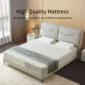 Chất Lượng Cao Bộ Nhớ Bọt Cao Su Hỗn Hợp Nệm Với Túi Mùa Xuân Eo Chăm Sóc Mật Độ Cao Mùa Xuân Nệm - Product Image 6