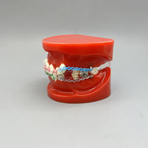 Sistema di Simulazione Dentale Ortodontica con Denti in Resina, Quattro Brackets Premolari, Filo di Legatura, Modello Anatomico per Scienza Medica - Product Image 3