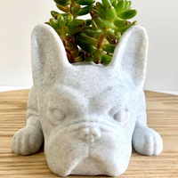 Nouveau pot de fleurs de bureau en résine, design simple et robuste, résistant à la corrosion, pour plantes succulentes et décoration de jardinage
