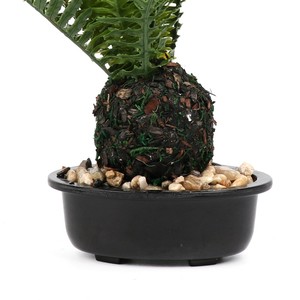 Verde Artificial hoja de <span class=keywords><strong>palma</strong></span> plantas de plástico jardín hogar decoraciones Scutellaria Tropical árbol plantas falsas - Product Image 4