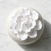 Coffret Cadeau de Luxe : Diffuseur de Parfum d'Ambiance Artisanal en Céramique Solide, Plâtre Parfumé aux Fleurs, Huile Essentielle et Bâtonnets de Diffusion
