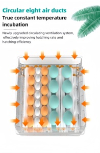 Nhà máy cung cấp trực tiếp gà hoàn toàn tự động nở giáo phần 120 lồng ấp trứng - Product Image 6