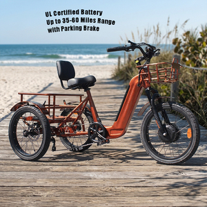 Vente en gros de tricycles électriques à 3 roues de 500 W, vélo électrique pour adultes, triporteur à grande capacité, vélo électrique stable pour une utilisation quotidienne en ville - Product Image 1