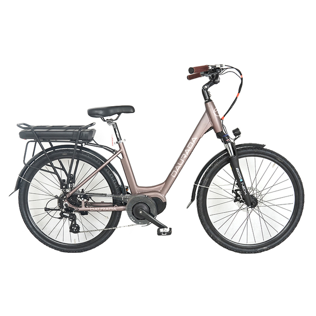 DAURADA New Fashion 26 Inch Mid Motor Fat Tire Bike Mountain Bike E-bike City E Bikes Electric Bicycle