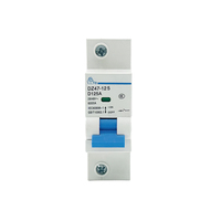 Disjoncteur miniature DZ47-125 2P 3P 4P 125A Courant nominal Montage sur rail DIN en plastique et cuivre Capacité de coupure 6kA