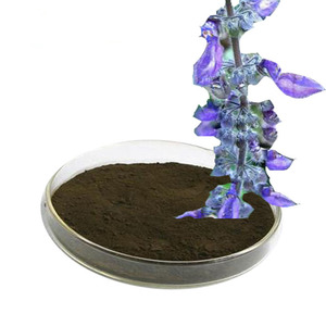 สารสกัดจาก <span class=keywords><strong>Coleus</strong></span> forskohlii สารสกัดจาก <span class=keywords><strong>forskohlin</strong></span> - Product Image 1