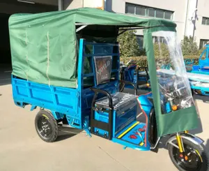 중국에서 만든 프론트 캐빈 \ 레인 커버와 세발 자전거