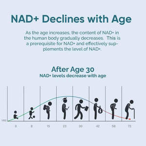 OEM/ODM ประกอบด้วย NAD+ เรสเวอราทรอล และวิตามินบี3 ช่วยเพิ่มระดับ NAD+ ภายในร่างกาย บรรเทาอาการเหนื่อยล้า และต่อต้านการเกิดออกซิเดชัน เหมาะสำหรับผู้ทานวีแกน - Product Image 4