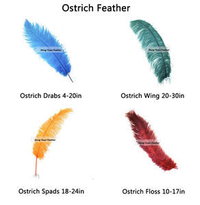 Plumas DIY <span class=keywords><strong>นก</strong></span>ประดับตกแต่งชิ้นกลาง<span class=keywords><strong>ขน</strong></span>าดใหญ่<span class=keywords><strong>สีชมพู</strong></span>สีฟ้าขนาดใหญ่ขนนกกระจอกเทศสีดำสีขาวสำหรับงานเทศกาล - Product Image 6