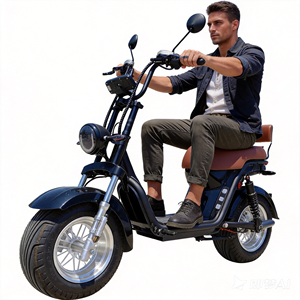 Venta al por Mayor en la UE, Nuevo Vehículo Eléctrico de Largo Alcance para Adultos, 1500W, 60V, 20Ah, Batería de Litio, Marco de Acero, 80km/h - Product Image 1