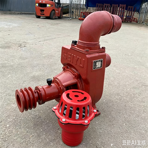 Pompe centrifuge auto-amorçante 1-1/2 pouces à raccordement à bride en fer pour le transport des eaux usées et la lutte contre les inondations - Product Image 1