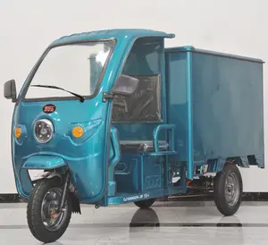 2023 TianYing diskon besar becak listrik ekspres pengiriman makanan kustom tertutup