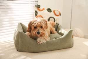 Cama para mascotas de felpa de lino minimalista, colchón para perros con cojín lavable desmontable de doble cara - Product Image 5