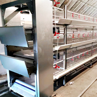 Prix d'usine Équipement avicole : Cages en batterie entièrement automatiques de type H pour poules pondeuses