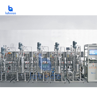 Sistema de Fermentación Múltiple de Acero Inoxidable LABOAO, Unidad de Fermentación Paralela de Múltiples Tanques