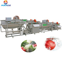 Ligne de lavage et de séchage de légumes et fruits en acier inoxydable pour tomates
