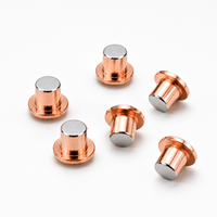 Fournisseur de rivets de contact bimétalliques électriques, relais à rivets, rivets de contact en argent