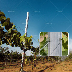 Ý 2.4M Chiều Cao Nhiệm Vụ Nặng Nề Thép Mạ Kẽm Nho Cổ phần Vineyard Bài Grapery Bài - Product Image 1