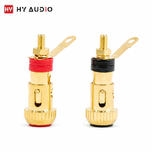 HY AUDIO Bornes de haut-parleur couleur or, Bornes de connexion pour haut-parleur à double écran, Pièces de haut-parleur, Prix de gros - Product Image 2