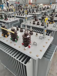 Transformateur de distribution de puissance immergé dans l'huile S20 Transformer Factory 250 kVA, niveau d'efficacité énergétique 2, noyau tout en cuivre - Product Image 3