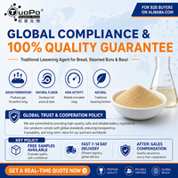 Poudre de levure sèche active en gros, emballage personnalisé par le fabricant pour les distributeurs de boulangeries mondiales