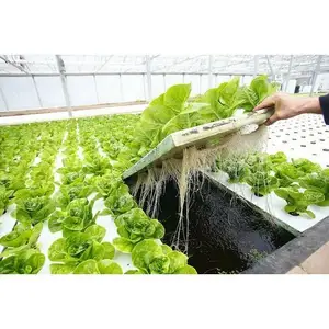 Hydroponics Tray Tower Aquaponics Grow System Growing Strawberry Planter Garden Grow vertical Planting Hydroponic Vegetables