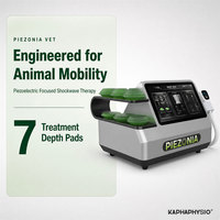 Appareil de thérapie par ondes de choc piézoélectriques pour la rééducation vétérinaire des tendons, des articulations et des muscles des chevaux, équipement de traitement pour cliniques vétérinaires