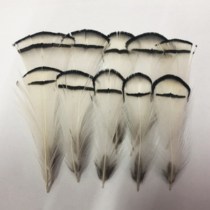 Plumes de faisan lavées en gros pour la fabrication artisanale, matériaux de décoration pour la pêche à la mouche, les coiffes de carnaval, les corsages et les chapeaux - Product Image 4